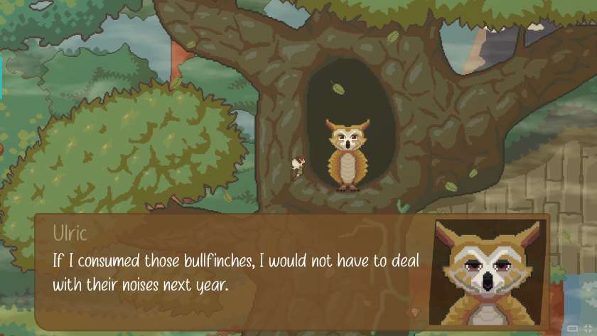 An owl in Fairy Springs