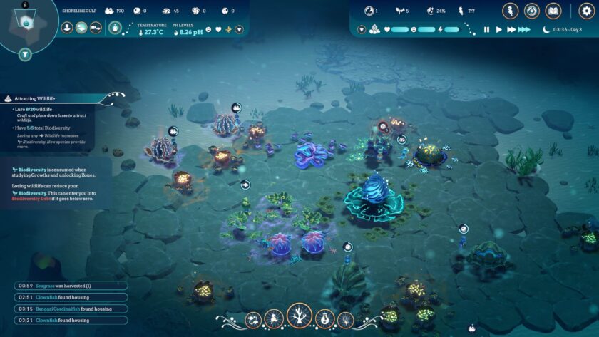 Life Below managing the coral