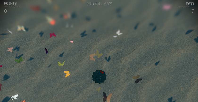 Butterflies in Fill The Void