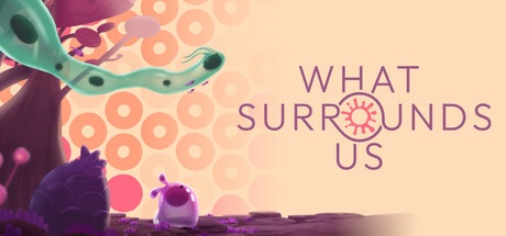 What surrounds us