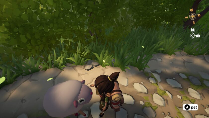 Go North petting sheep