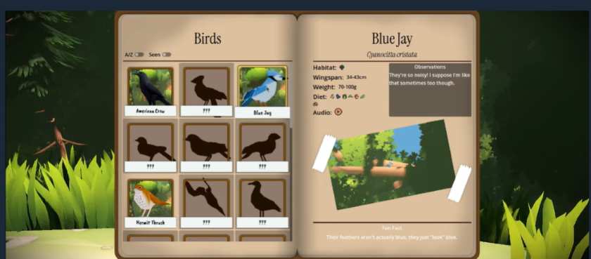 A journal in Look To The Birds