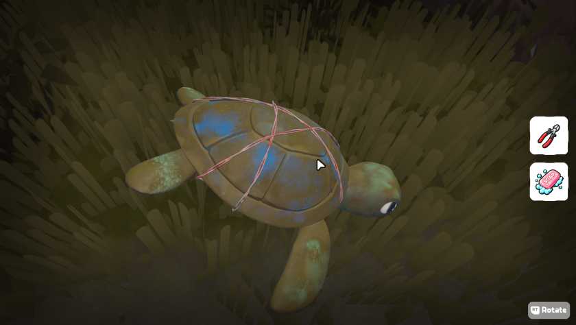 A turtle to rescue in Island Restoration