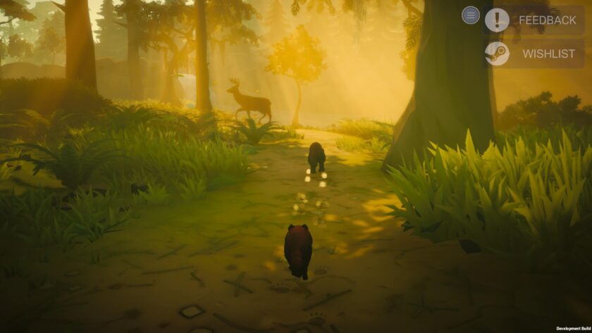 When the Embers Wake walk in the woods