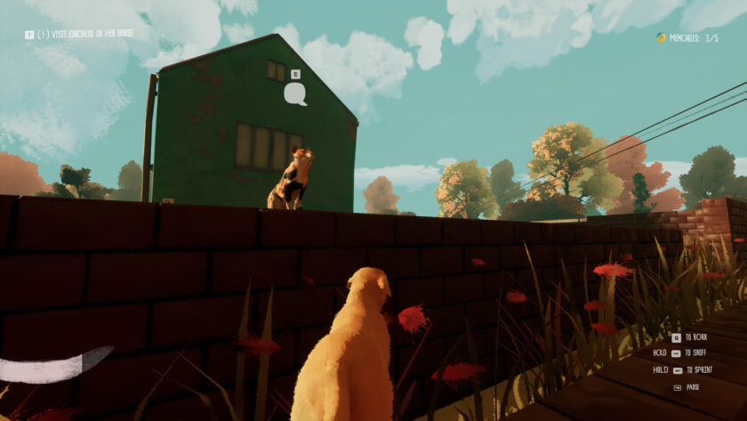 a cat on a wall watching a dog. 
