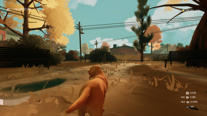 a brown dog on a road