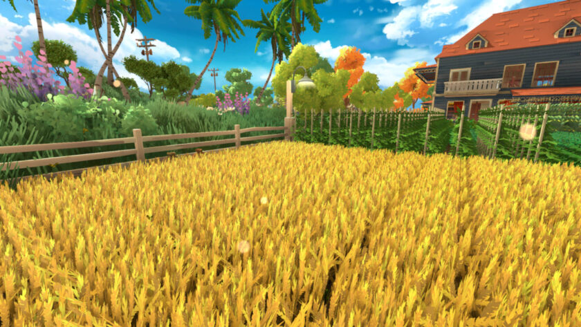 a field of crops
